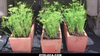 Exquisite Ebony Latina Loving