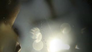 A Foreign Affair - Suzie Carina & Tracy Lindsay