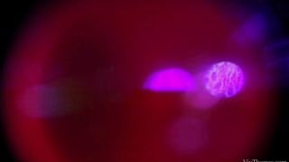 Gardeners Scene 1 - Frida & Uma