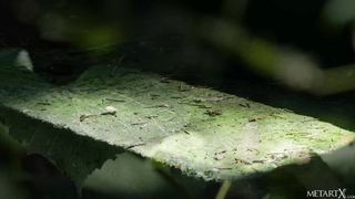 Love Poem 2 - Aislin