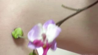 Intame - Emily Bloom