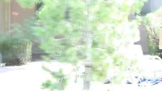 Raven public masturbation