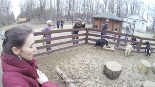 Squirrel Foretells Hot Anal Sex